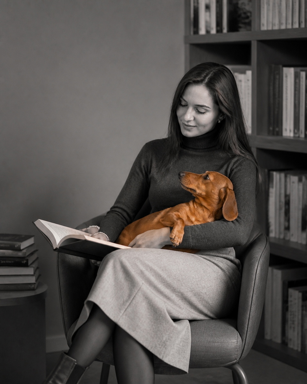 Teckel en una librería dentro de una escena de estilo cuidado