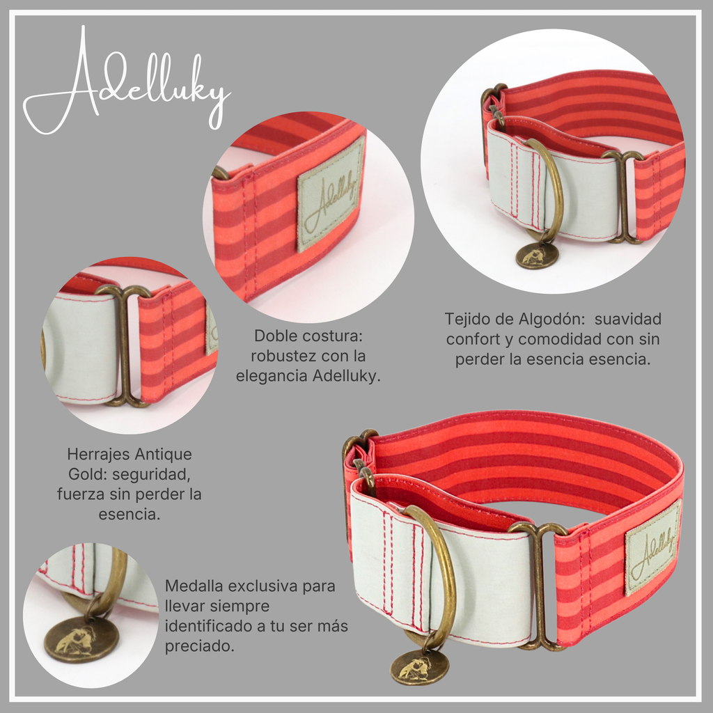 Collar martingale Rayado en rojo de Adelluky