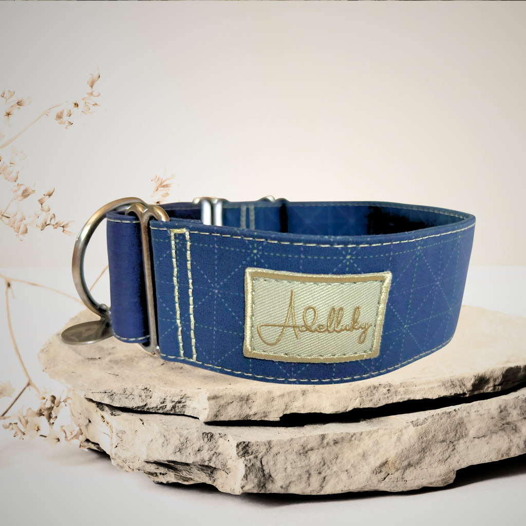 Collar martingale Británico en azul de Adelluky
