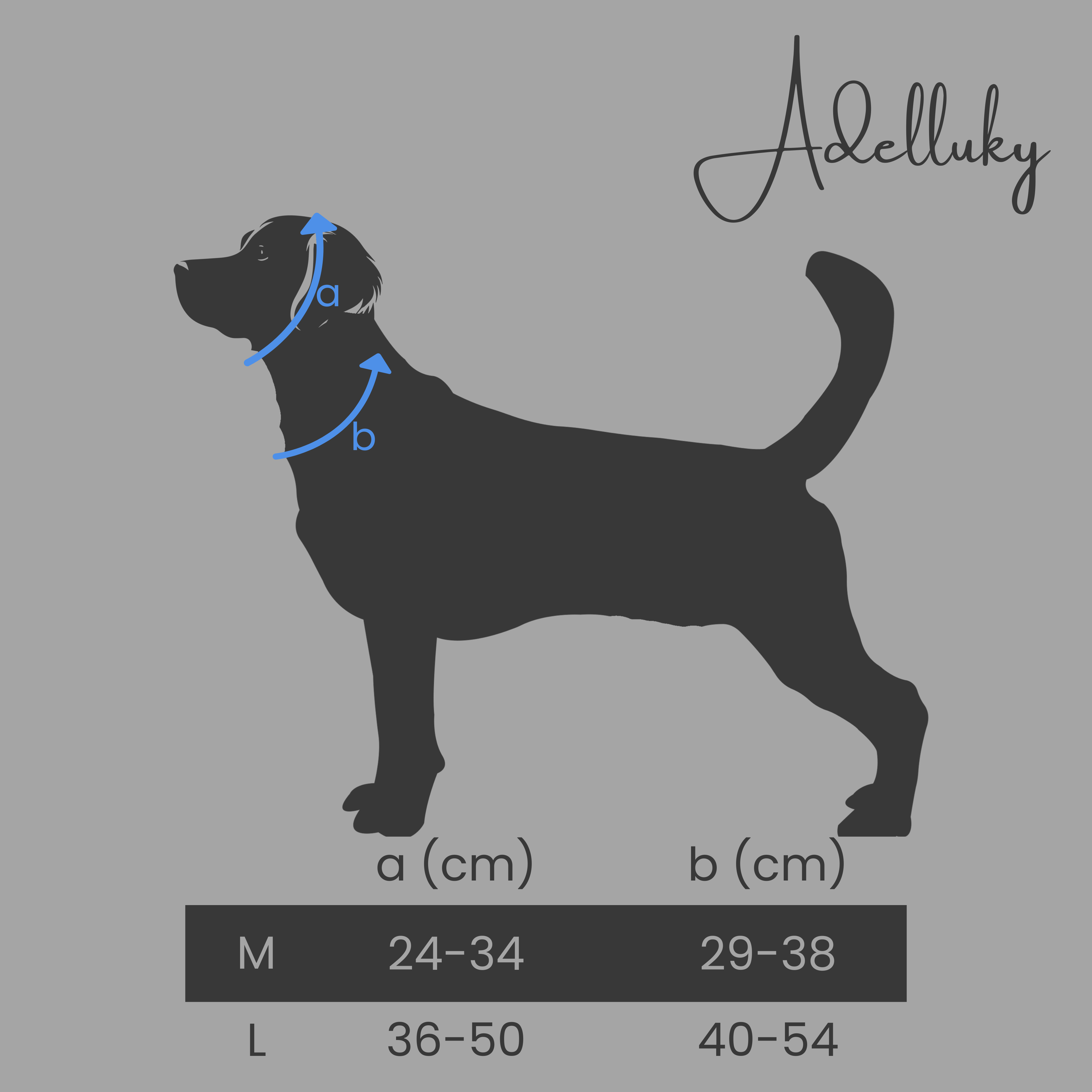Collar martingale Británico en azul de Adelluky