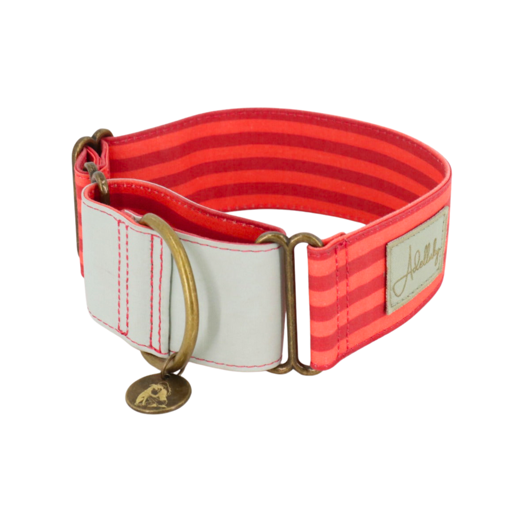 Collar martingale para perro – Rayado verde