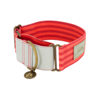 Collar martingale para perro – Rayado verde